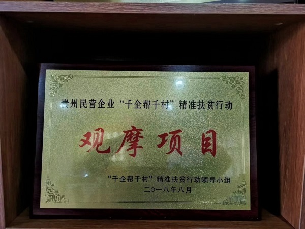 荣誉资质