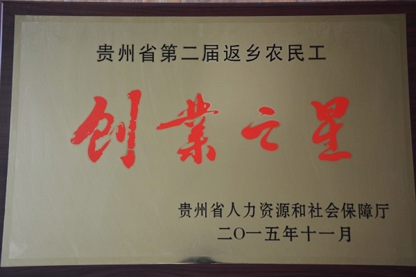 荣誉资质