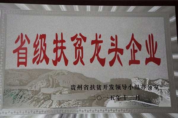 荣誉资质